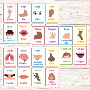 Bilingual Body Parts Flashcards-Spanish and English Printable