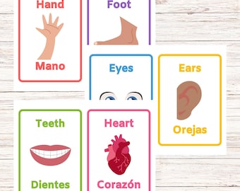 Bilingual Body Parts Flashcards-Spanish and English Printable (Large)