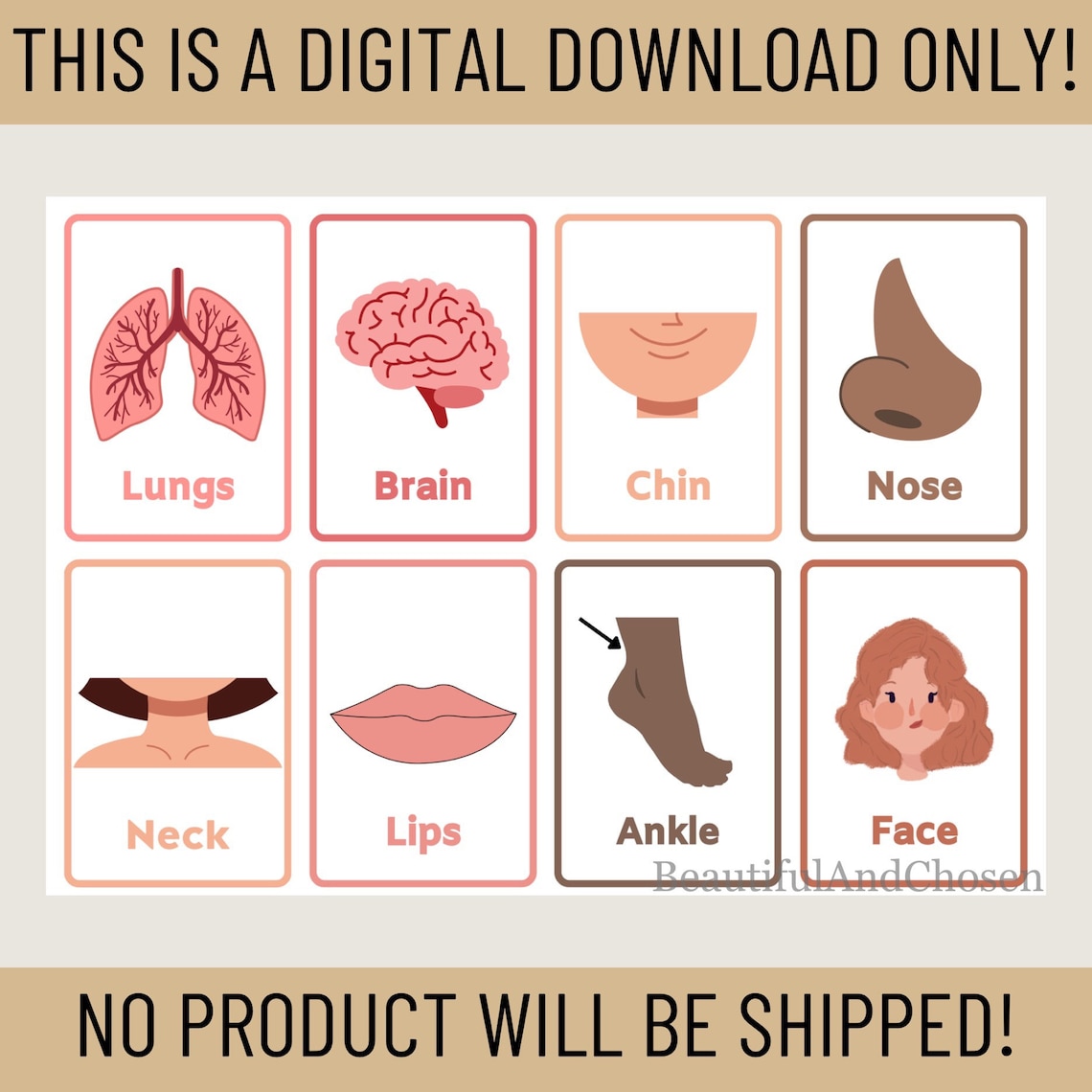 Aesthetic Body Parts Flashcards Printable-study Tools, Kid’s Review ...
