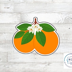 Cortador de biscoitos de par laranja fofo