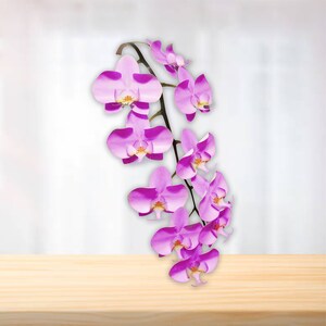 May include: A cluster of pink orchid flowers with a stem, hanging over a light brown wooden surface.