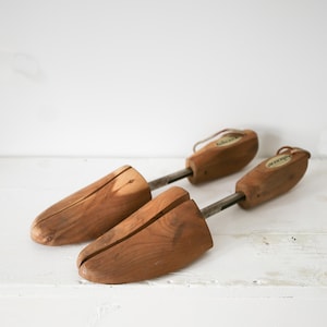 elegant wooden shoe tree