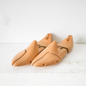elegant wooden shoe tree