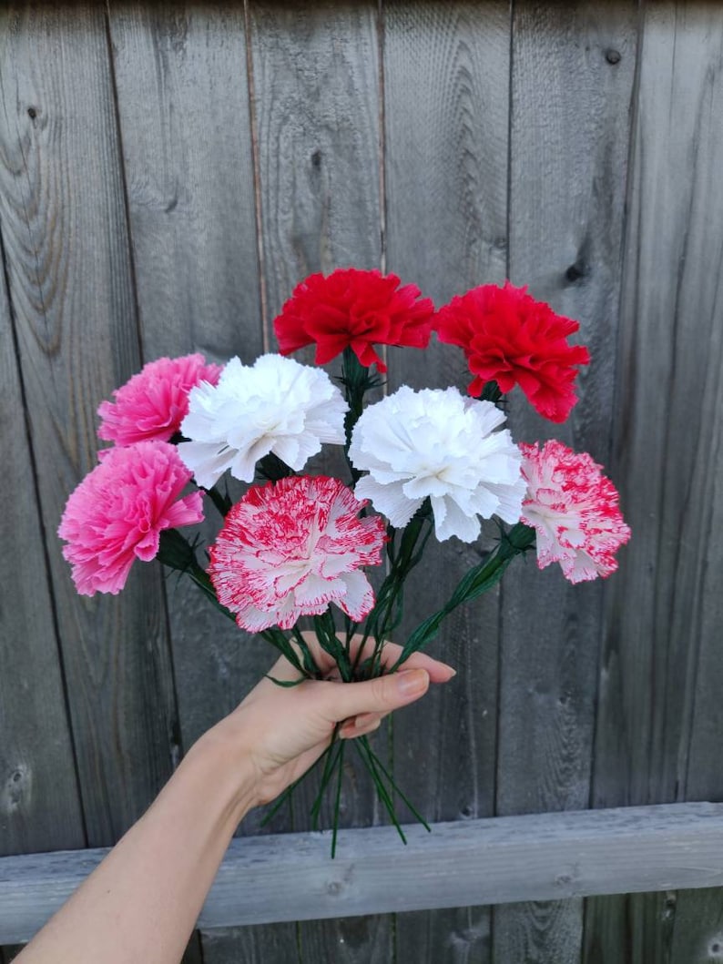 Paper Carnation Single Stem Crepe Paper Flower Bouquet Etsy