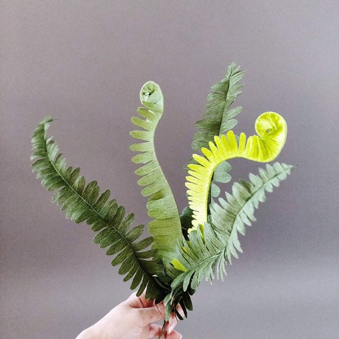 Handmade Crepe Paper Fern and Fiddleheads Set of 5 Stems Etsy