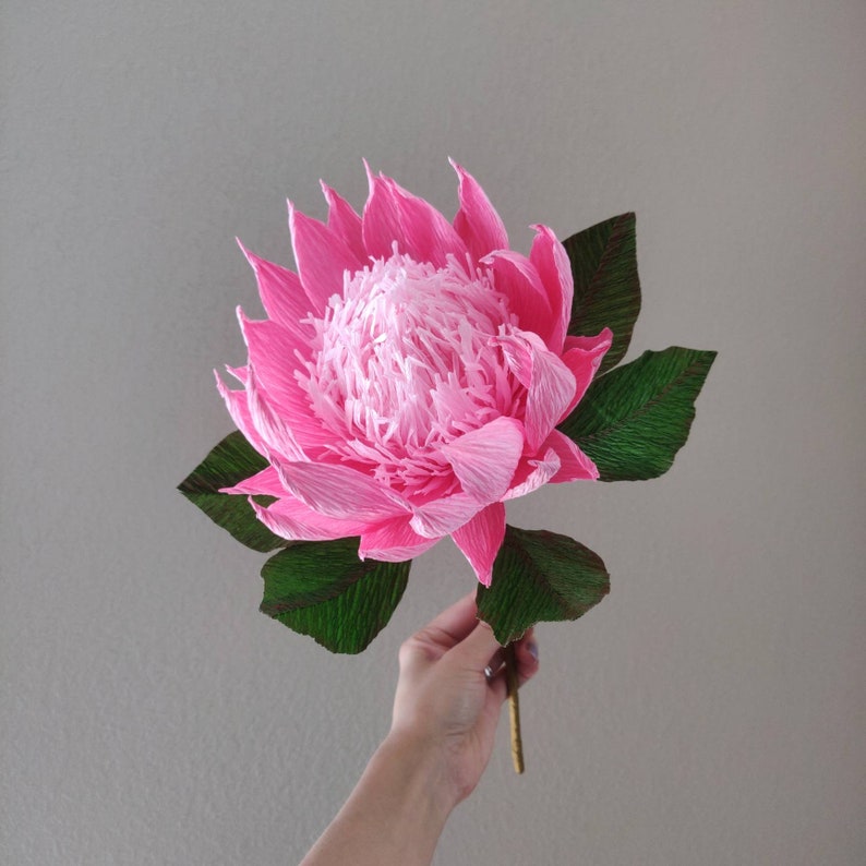 King Protea Crepe Paper Flower Single Stem Anniversary Gift Etsy