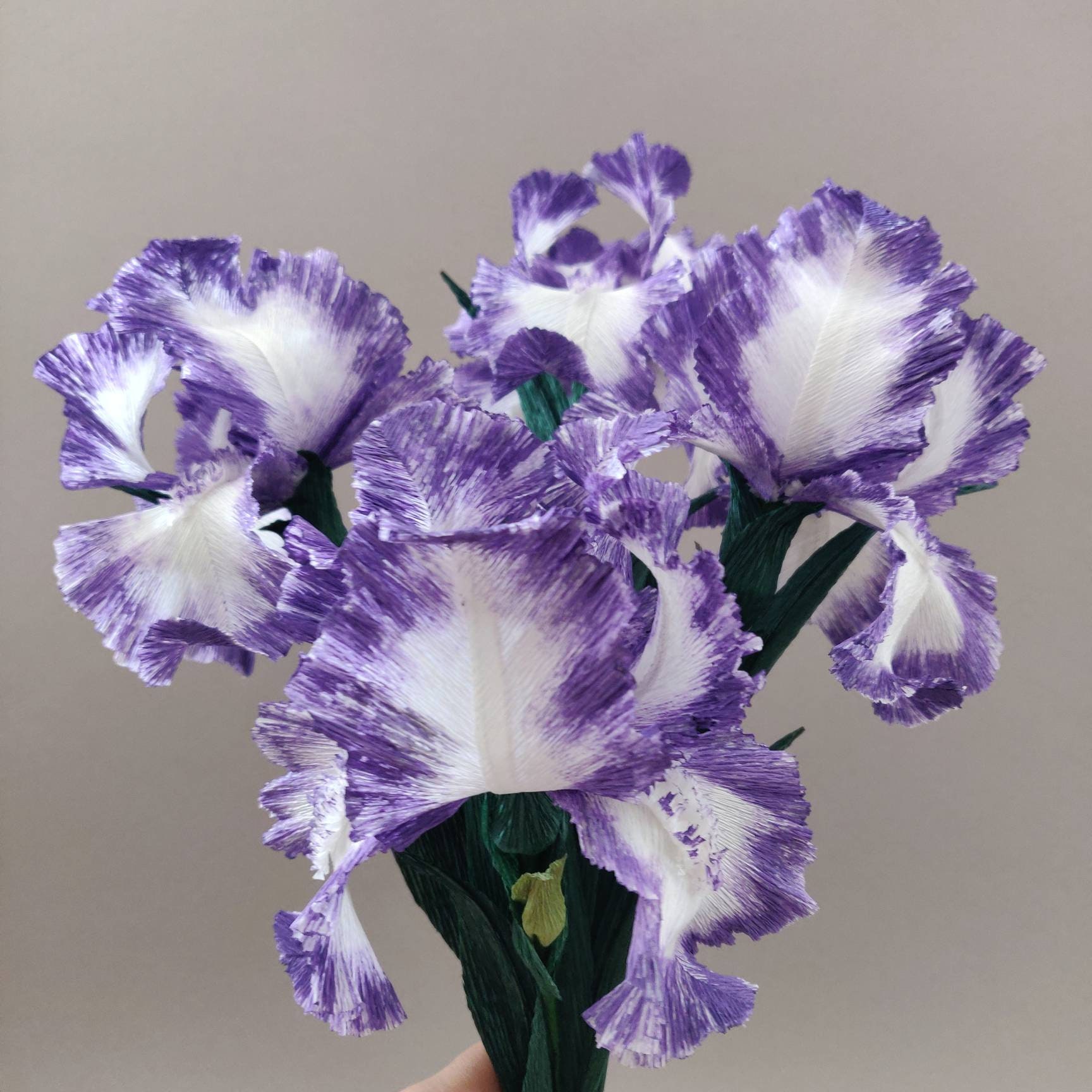 Guidebooks on Crepe Paper Flower Art and Craft – Iris Flower Artstyle