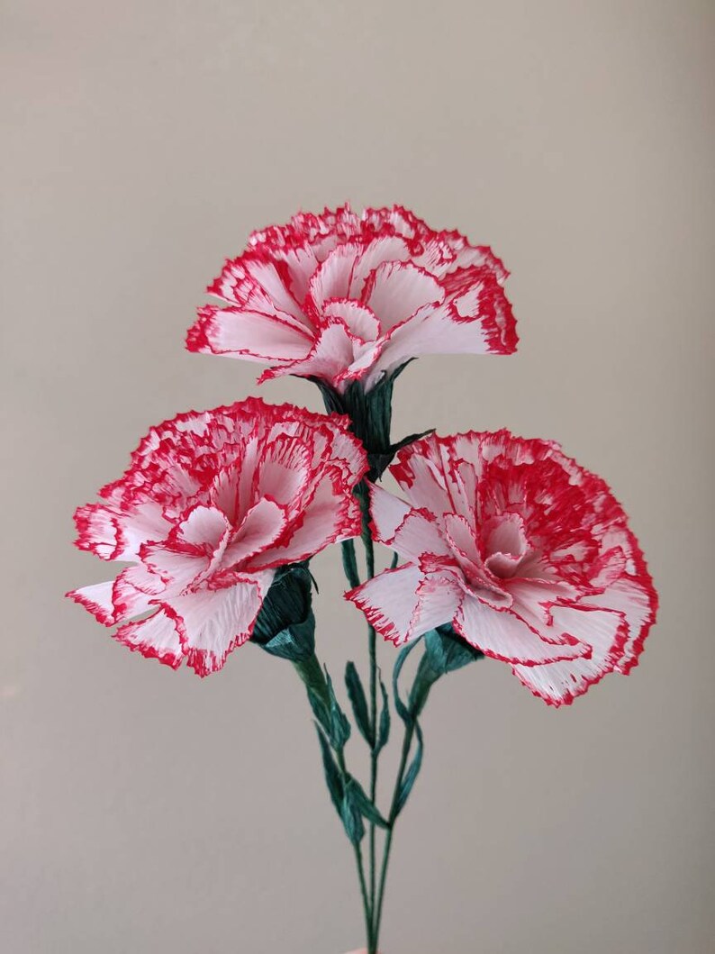 Paper Carnation Single Stem Crepe Paper Carnation Flower Etsy