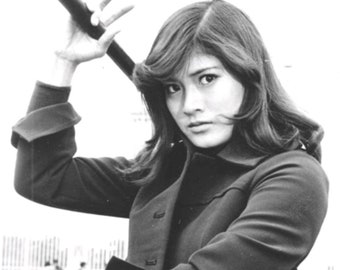 Etsuko Shihomi Martial Arts Cinema Print Poster