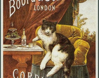 Poster Cat Saving Combination Tiddledy Winks 1800'S Advertisement