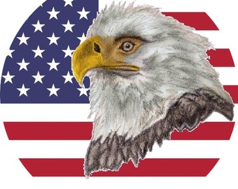 American Flag Bald Eagle Pin Button Badge
