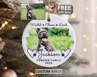 Pet Adoption Ornament, Personalized Pet Adoption Christmas Ornament Gifts for Pet Adoption Keepsake Custom Pet Adoption Christmas Ornament