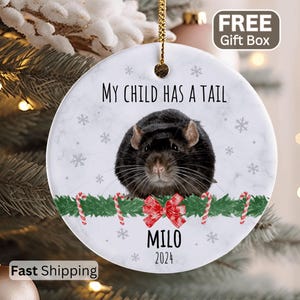 Pet Rat Gift Christmas Rat Decoration Personalized Rat Christmas Ornament Custom Rat Memorial Rat Ornament For Rat Lovers Gift Cute Rat Mom