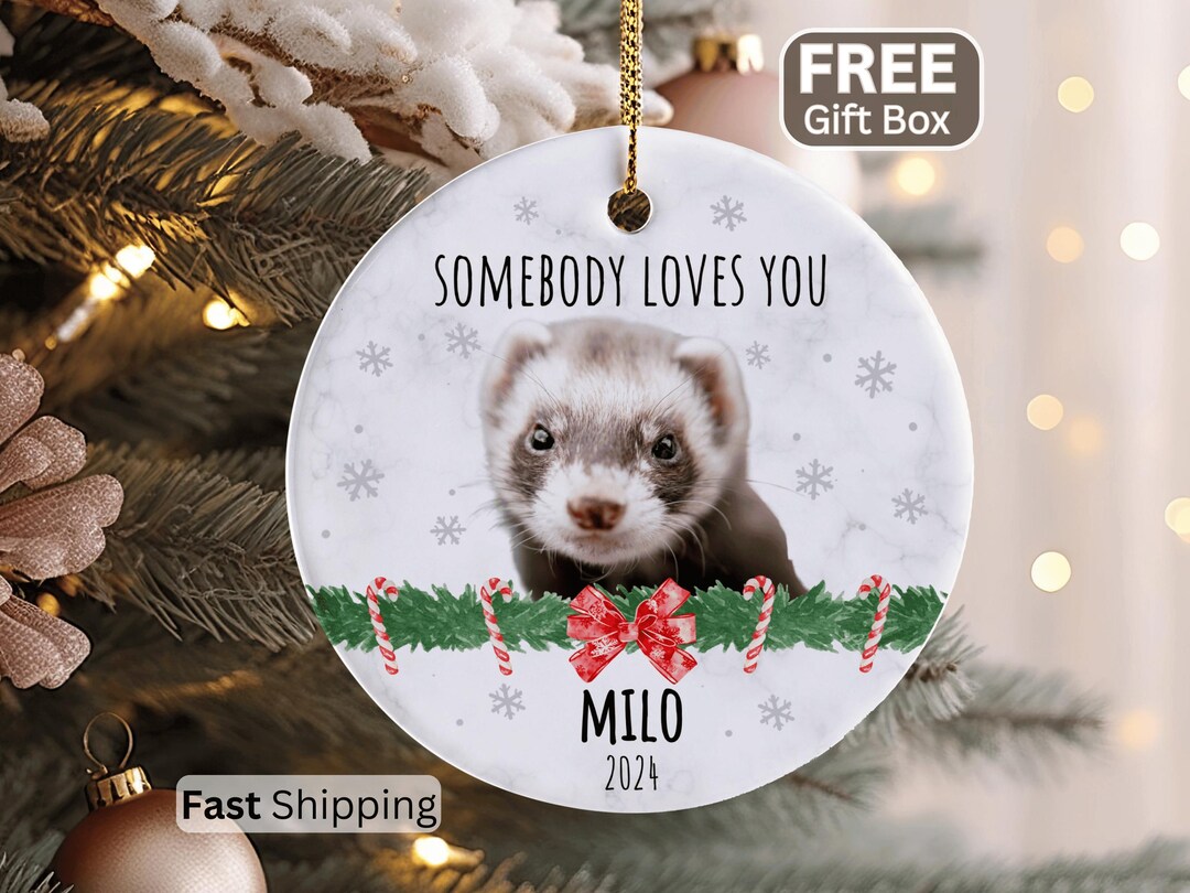Personalized Ferret Ornament Pet Ferret Gifts for Ferret Lovers ...