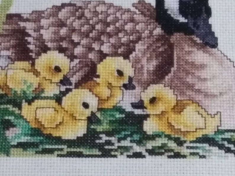 Finished completed cross stitch gosling spring time babies geese