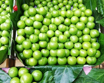 Groene pruim, zure groene pruimen, vers, nieuw gewas, express en gratis verzending