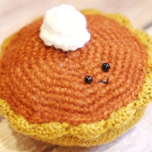 Amigurumi Crochet Pattern PDF in English: Pumpkin Pie image 2