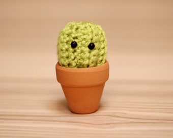 Amigurumi Crochet Pattern (PDF in English): Crochet Cactus, Crochet Succulent, Amigurumi Cactus, Crochet Plant, Crochet Housewarming Gift