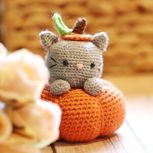 Amigurumi Crochet Pattern (PDF in English): Secret the Pumpkitten, Crochet Pumpkin Cat, Crochet Pumpkin Kitty, Amigurumi Pumpkin Cat