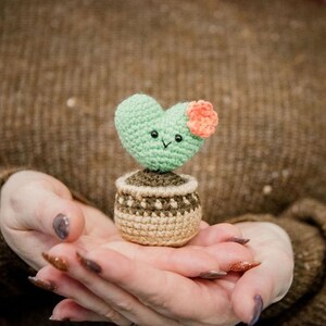 Amigurumi Crochet Pattern PDF in English: Crochet Heart Cactus, Crochet Hoya Kerii, Amigurumi Cactus, Crochet Succulent, Crochet Plant image 2