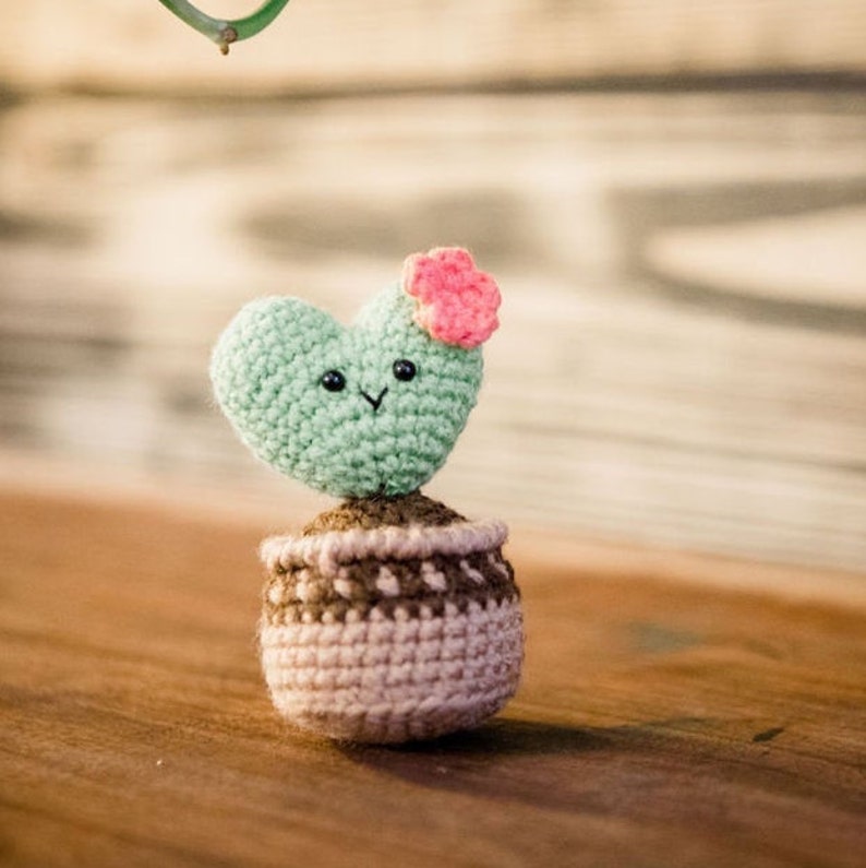 Amigurumi Crochet Pattern PDF in English: Crochet Heart Cactus, Crochet Hoya Kerii, Amigurumi Cactus, Crochet Succulent, Crochet Plant image 3