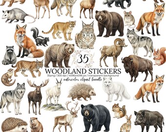 Watercolor Woodland Animal Stickers, Forest Wildlife Clipart (PNG Download)