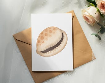 Watercolor Cowrie Shell Clipart, Coastal Beach Wedding Illustration (Digital Download)