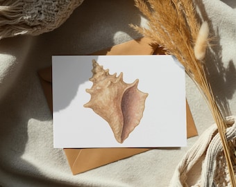 Watercolor Seashell Clipart, Beach Themed Illustration (Digital Download)