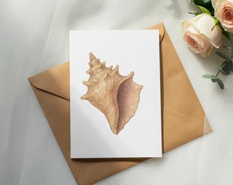 Sea Shell Clipart, Sea Animals Clipart, Seashell PNG, Watercolor Sea Shell Image, Ocean Clip Art, Nautical Clipart, Beach Decor, Sea Life