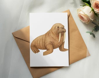 Sea Animals Clipart, Walrus PNG, Ocean Animal Illustration, Marine Life Graphics, Cute Animal Digital Art, Underwater Creature, Sea Mammal