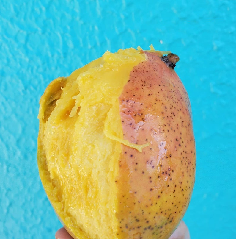 Puede incluir: Un mango parcialmente pelado sobre un fondo azul brillante. El mango tiene un interior amarillo-naranja y un exterior moteado, rojo-naranja. La textura de la fruta es visible, con parte de la pulpa a&uacute;n adherida.