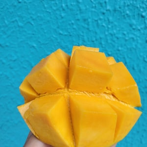 Mango Seeds / Rare Variety Tropical Fruit Tree Seeds