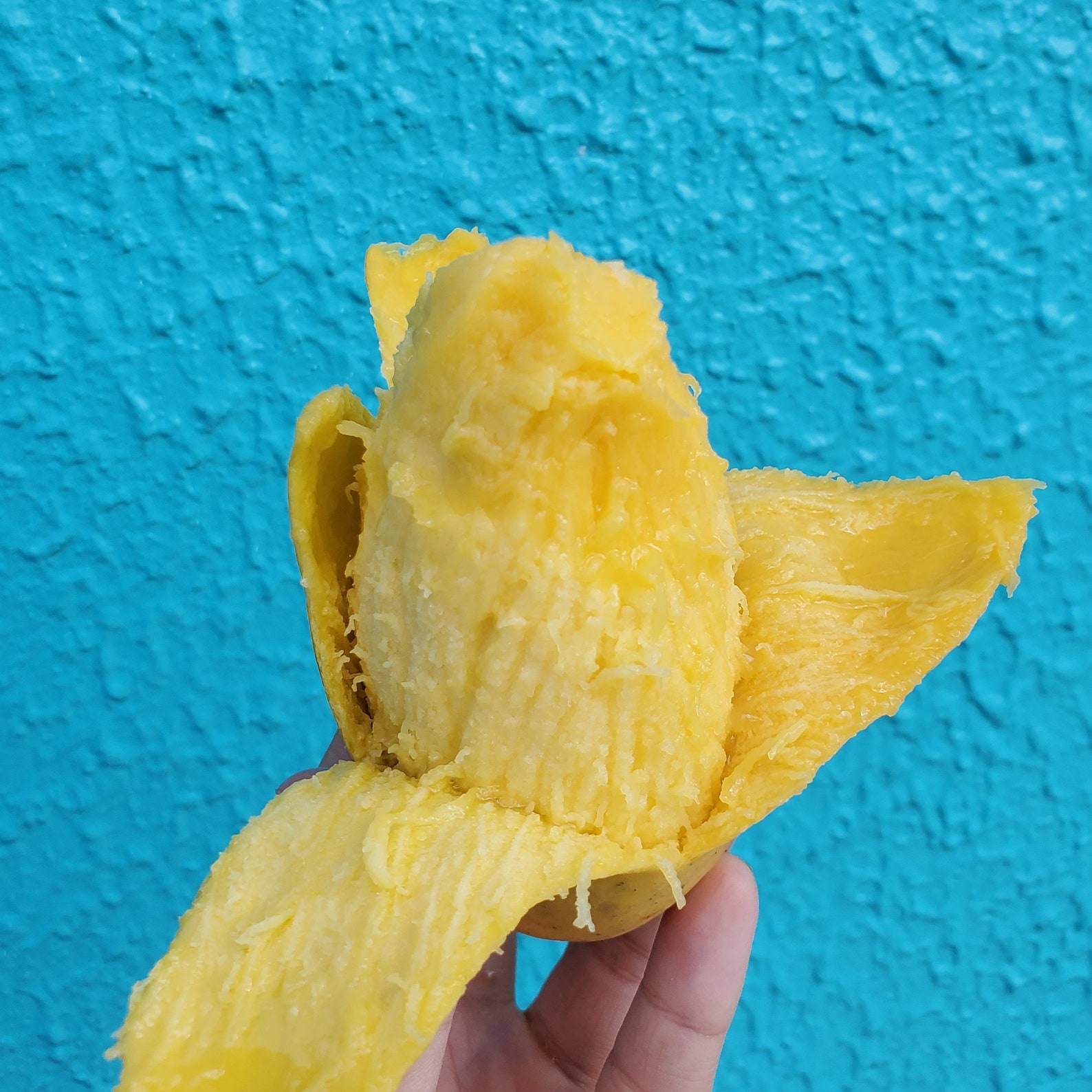 Buy Tropical Fruit Variety Box / Fresh Exotic Fruit Online in India Etsy