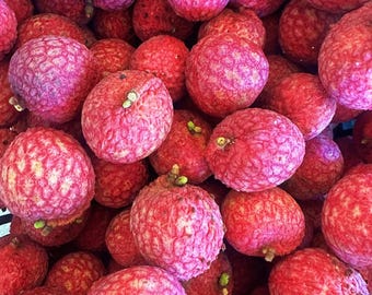 Lychee Fruit / Rare Varieties / 3 lbs Fresh Tropical Florida Fruit