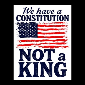 May include: A patriotic design featuring the American flag with the text "We have a Constitution, Not a King." The flag is red, white, and blue, with a distressed, vintage look. The text is in a bold, sans-serif font.