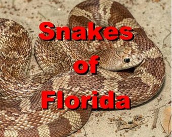 Snakes of Florida