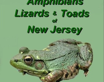 Amphibians, Lizards and Turtles of New Jersey