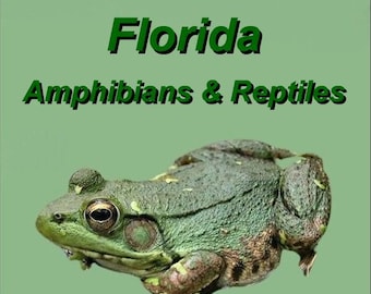 Florida Amphibians and Reptiles