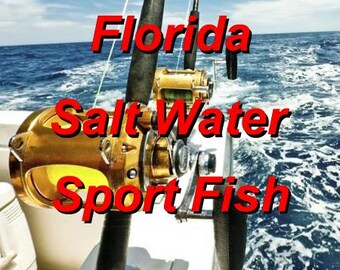 Florida Salt Water Sport Fish