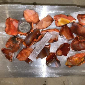 CARNELIAN ROUGH, charged 2000 carat lot + a free selenite charging stick Free S&H