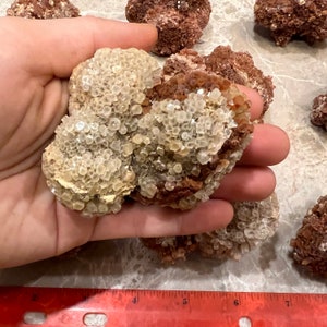 Aragonite Mineral Star Cluster Crystals -Crystal Healing Root Chakra Crystals (~1/4) Pound Specimen Free S&H