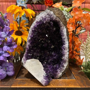 Flash Sale!!** GIGANTIC XXXXL LARGE Amethyst Geode Druze Crystal Cluster With Cut Base Specimen ~ 5.5-7 Lbs *Best Seller* Free s&h