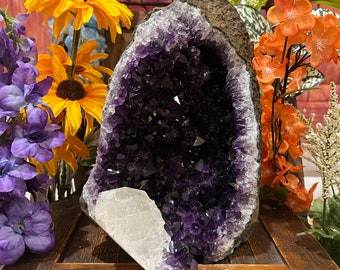 Flash Sale!!** GIGANTIC XXXXL LARGE Amethyst Geode Druze Crystal Cluster With Cut Base Specimen ~ 5.5-7 Lbs *Best Seller* Free s&h