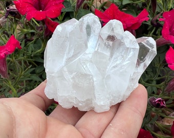 Flash Sale!!** Beautiful Quartz Point Crystal Cluster ~ (1/2) Pound LOT (2 PIECES) - Very Nice!! Free S&H