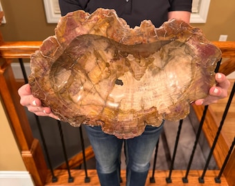 May include: A large, natural, fossilized wood bowl with a deep, rounded interior. The bowl is a light brown color with streaks of red, yellow, and white. The bowl is made of petrified wood, which is a type of fossilized wood that has been turned to stone.