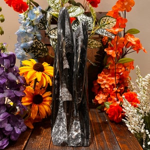 May include: A black fossilized ammonite sculpture with a unique, abstract design. The sculpture is made of natural stone and has a rough, textured surface.