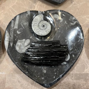 Flash Sale!!** EXTRA LARGE HEART Orthoceras Ammonite Fossil Dish + a High End Black Tourmaline Specimen Free S&H