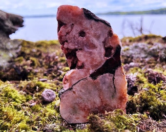 May include: A pink and black rock with a unique pattern and texture, sitting on a bed of green moss.