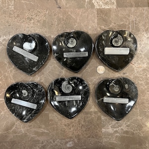 May include: Six black heart-shaped coasters with a white fossil design and a white rectangular piece on each. The coasters are arranged in two rows of three.