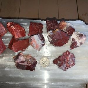 Flash Sale!!** BRECCIATED JASPER rough, charged 500 carats lot + a free selenite charging stick Free S&H